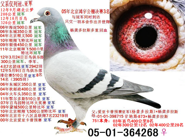 唐山鸿冠公棚最新公告揭秘，小巷深处的独特风味等你来探秘！