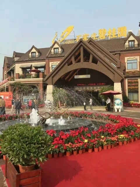 邢台碧桂园最新动态，自然美景的探索之旅