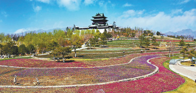 探索自然美景的轻松之旅，最新绿帽文经典分享